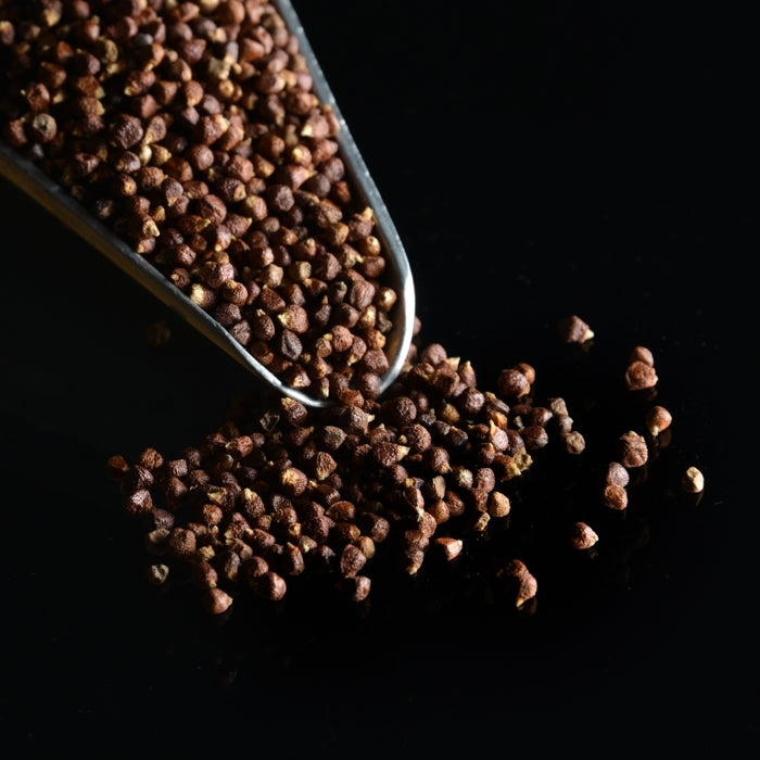Grains of Paradise (whole) - 1 oz