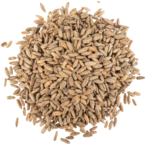 Rye Malt - Viking Malt