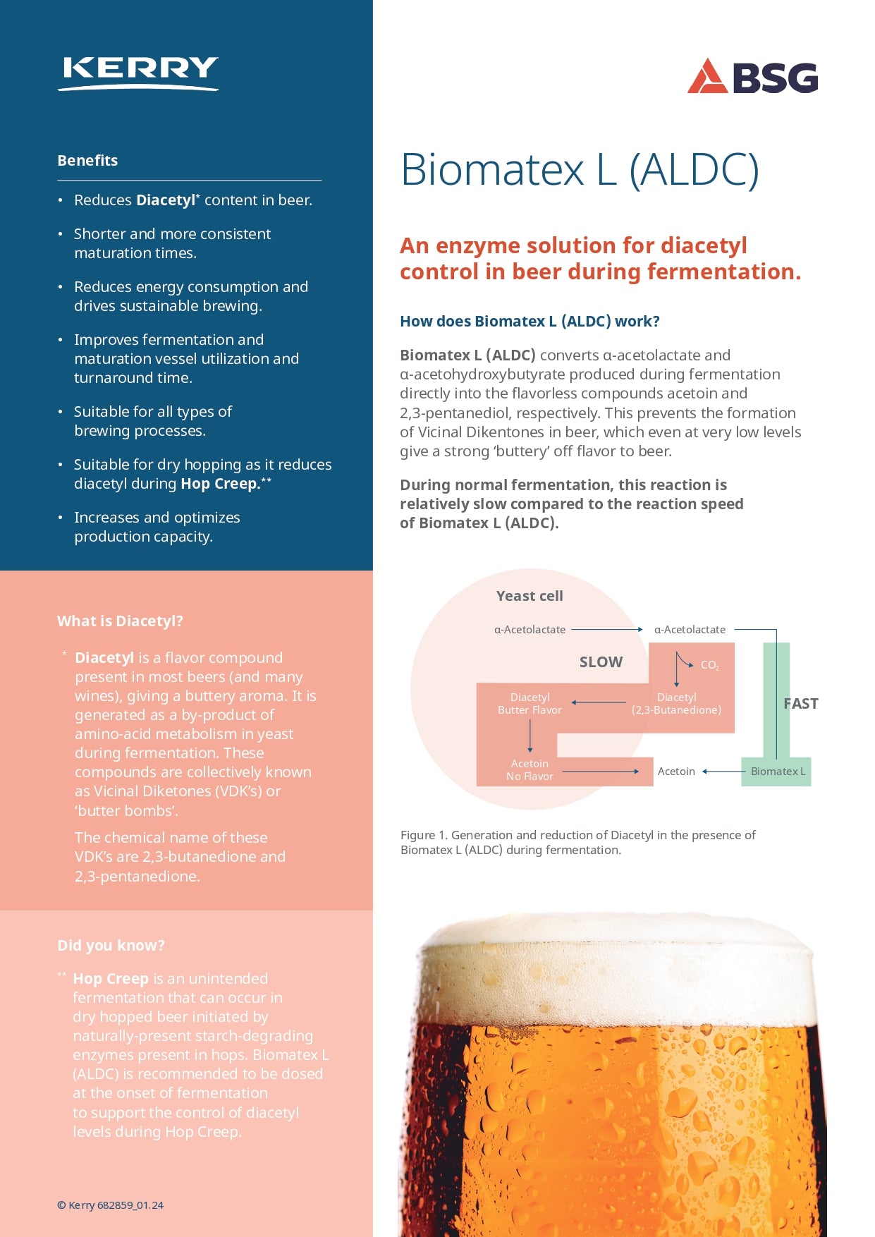 Kerry Biomatex L (ALDC Enzyme) - 1 oz dropper