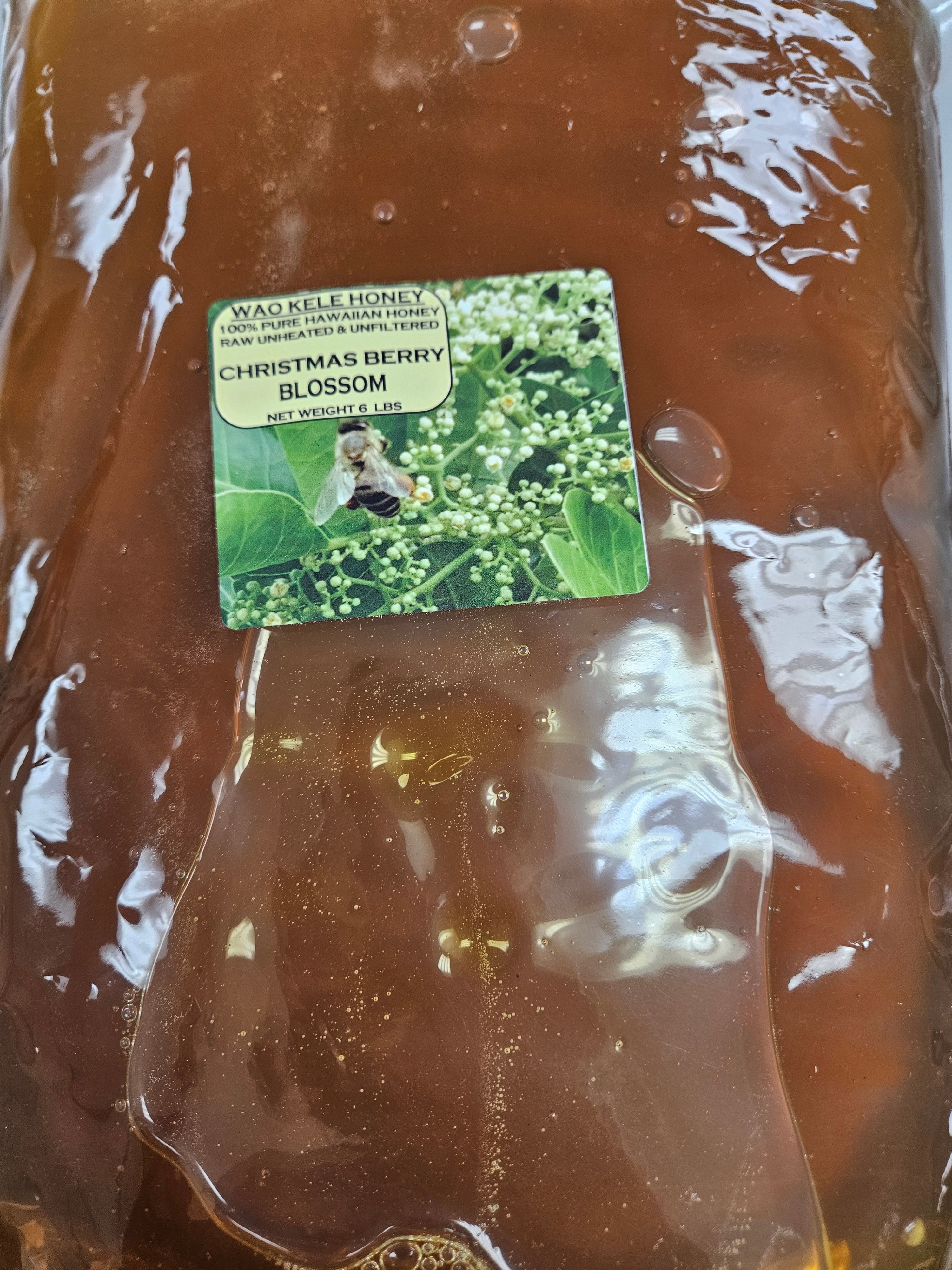 Hawaiian Christmas Berry Blossom Honey - 6lb