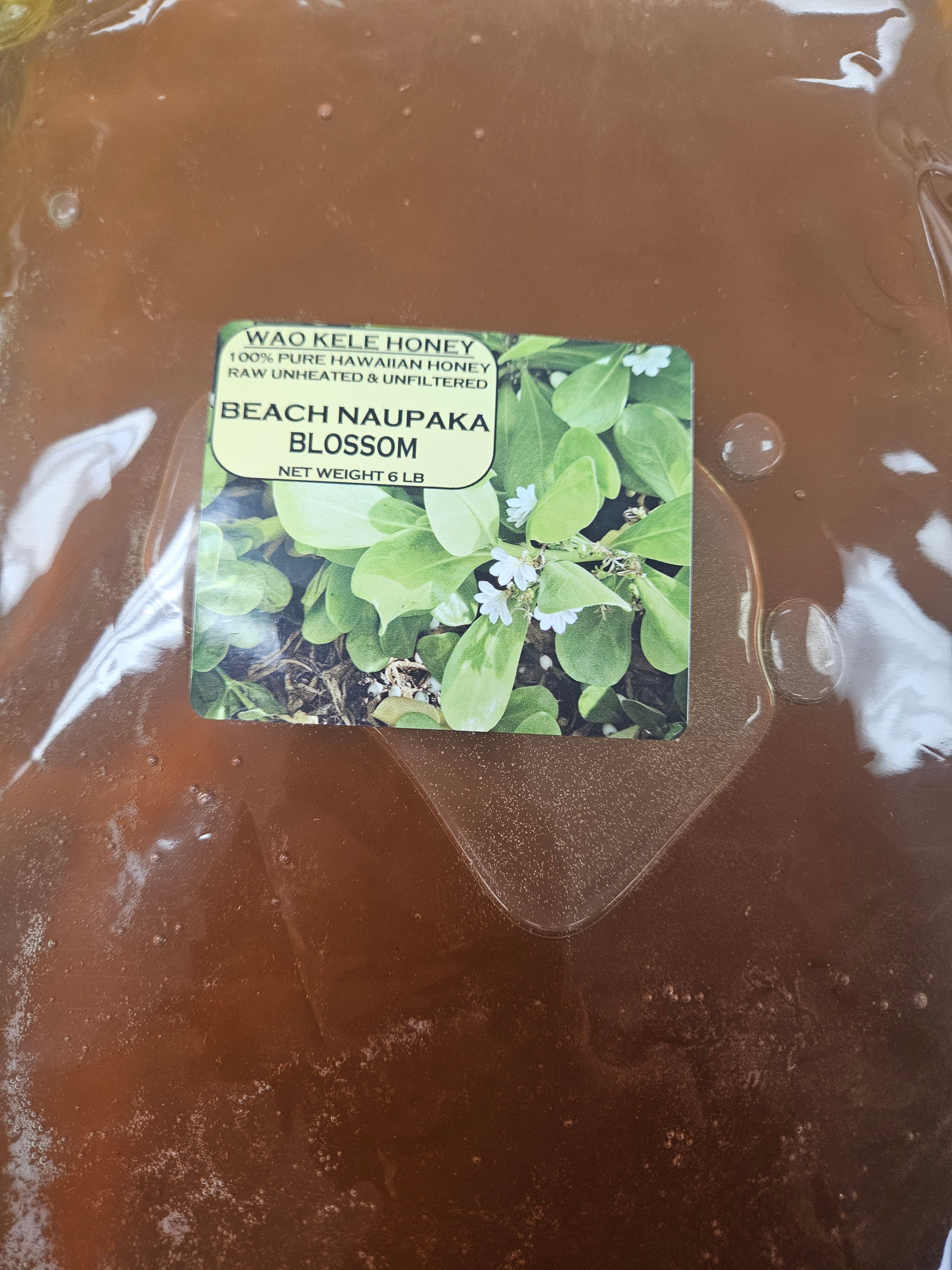 Hawaiian Beach Naupaka Blossom Honey - 6lb