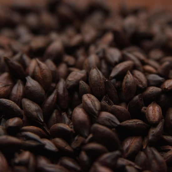 Weyermann® CARAFA® Special Type 2 (dehusked) 396-471L