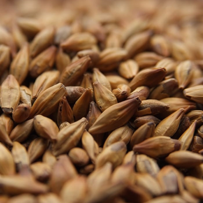 Weyermann® CARAMUNICH® Type 1 31-38L