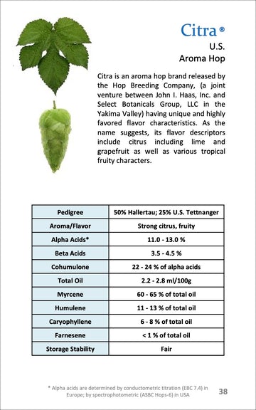 Citra® Hop Pellets - 2024