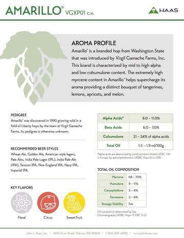 Amarillo® VGXP01 c.v. Hop Pellets