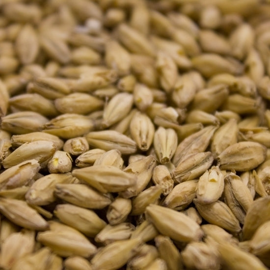 Weyermann® Eraclea Pilsner Malt