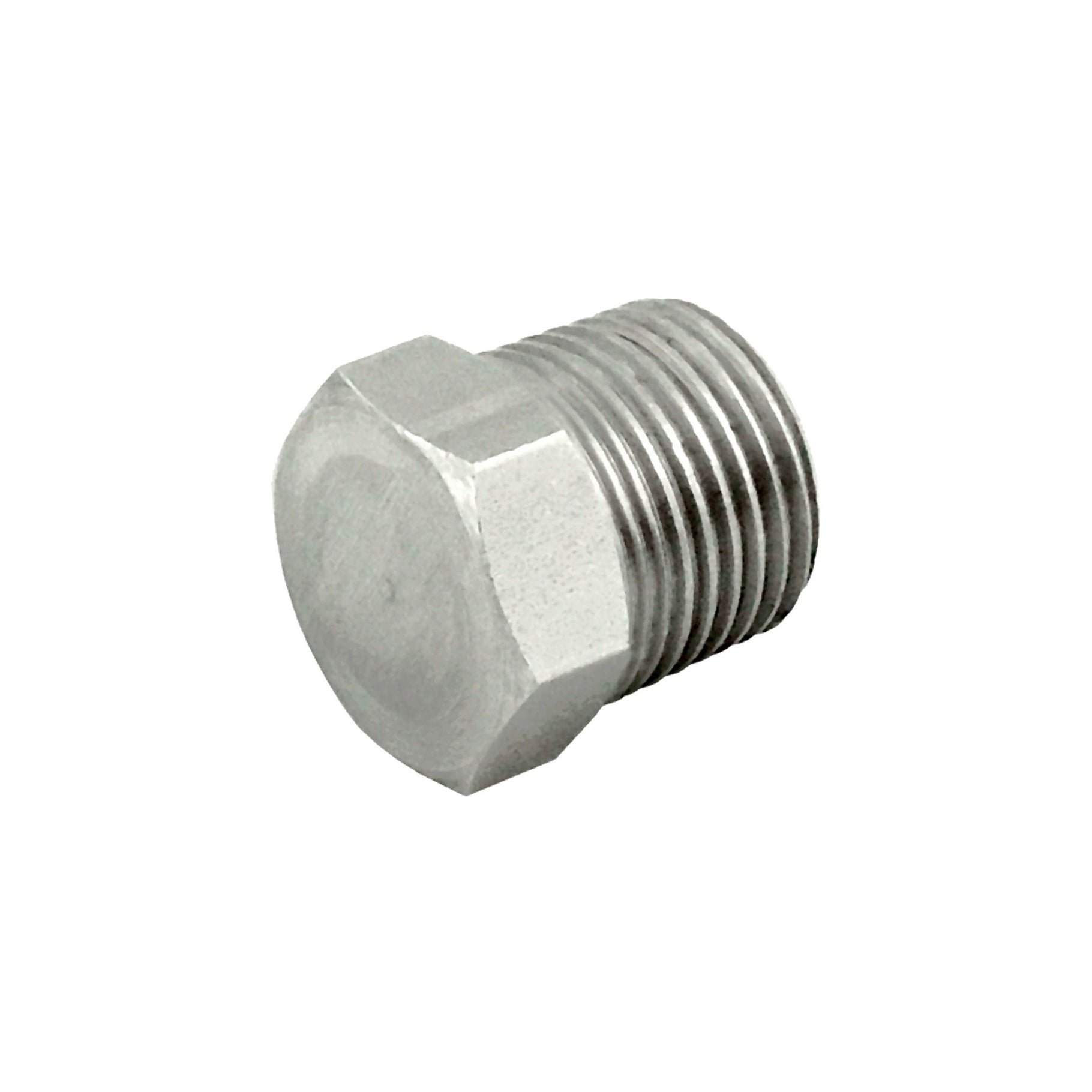1/2 Inch Stainless Hex Plug 1/2" Male Pipe Thread (304 S/S)