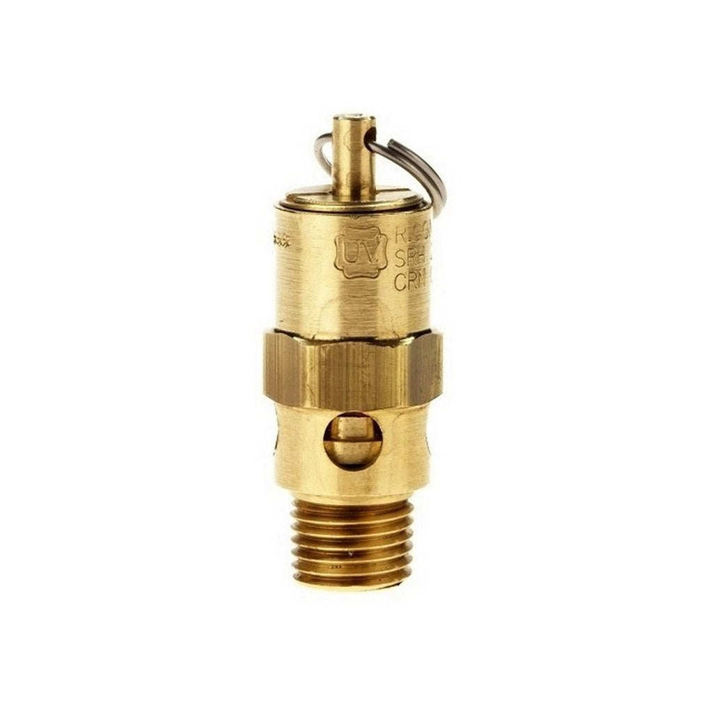 RELIEF VALVE-75 PSI, 1/4"MPT (BRASS PRV)