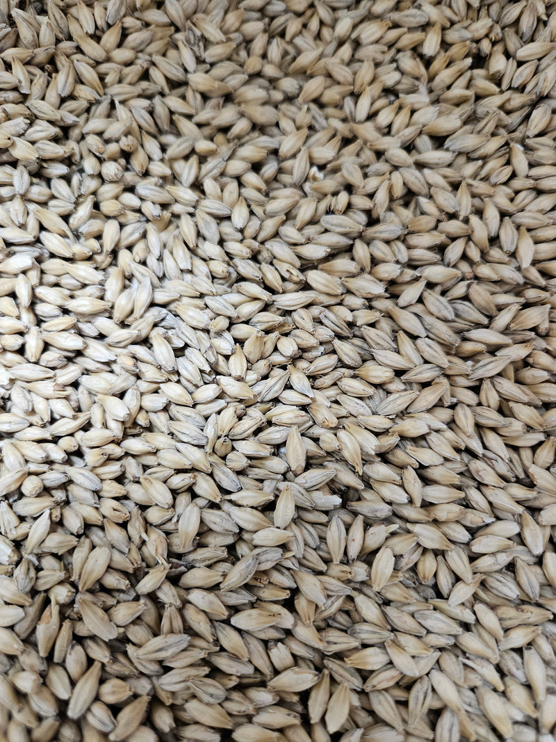 Kansas Malting Company Pale Malt