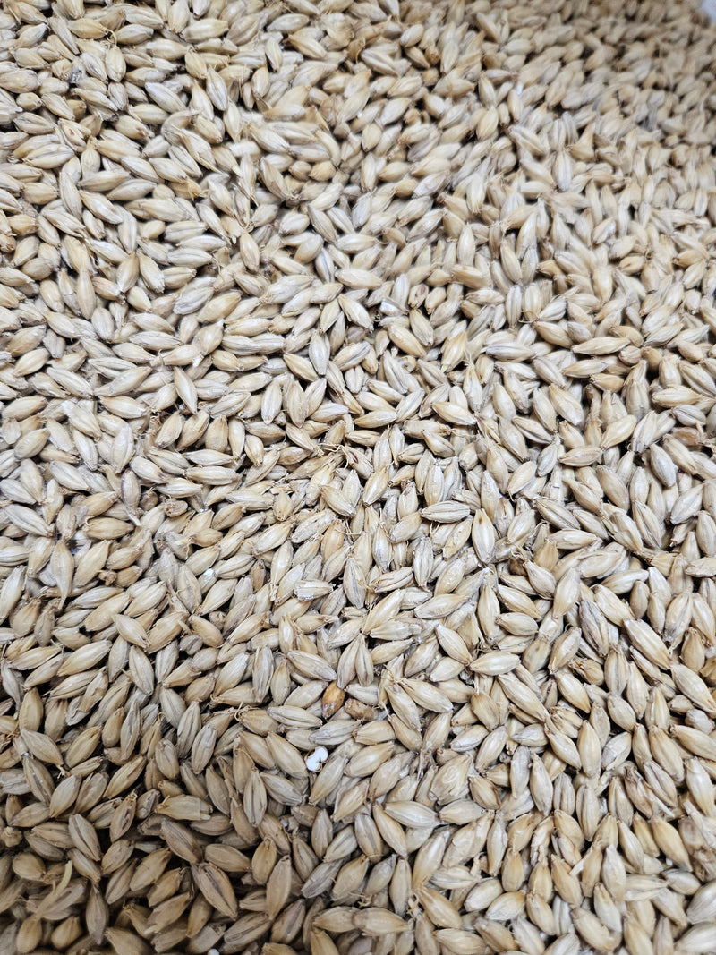 Kansas Malting Company Pilsner Malt