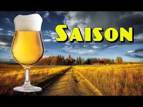 Mean Brews Saison Recipe 5 Gallon