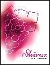 Shiraz Wine Labels 30 ct