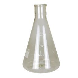 2000 mL Erlenmeyer Flask