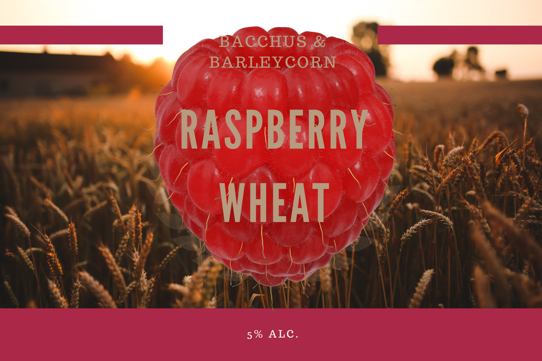 Raspberry Wheat